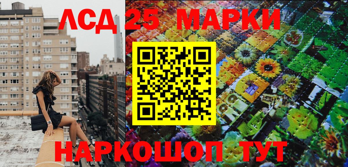 МЕФ Шатура